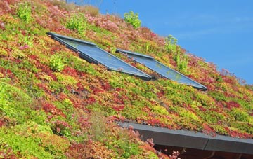 Upperlands living roof systems