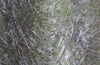 Upperlands fibreglass roof work